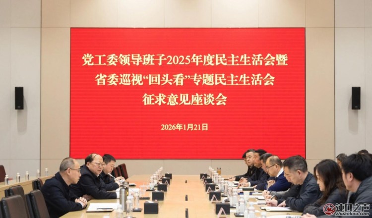 武汉经开区党工委领导班子民主生活会征求意见座谈会召开