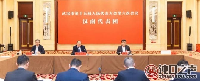 汉南团人大代表建言献策全力打造“五个中心”