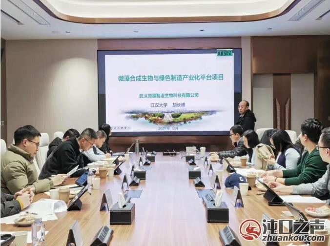 路演即投决 “十亿百企创投计划”武汉经开区专场活动举行