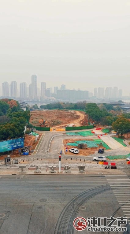 惊讶到了!沌口这个跨湖大桥正在施工!