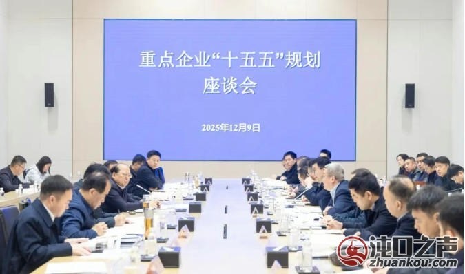武汉经开区召开重点企业“十五五”规划座谈会