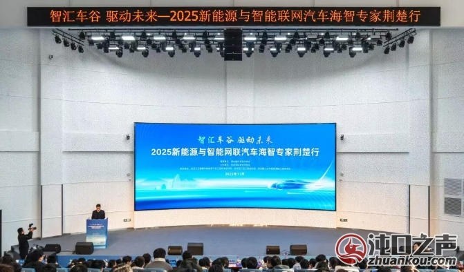 新能源与智能网联汽车海智专家荆楚行活动走进武汉经开区