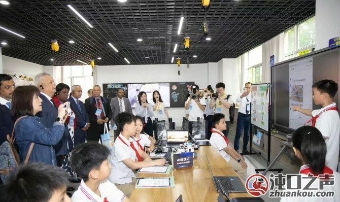 国际教育大咖和武汉经开区小学生一起“云游”火星