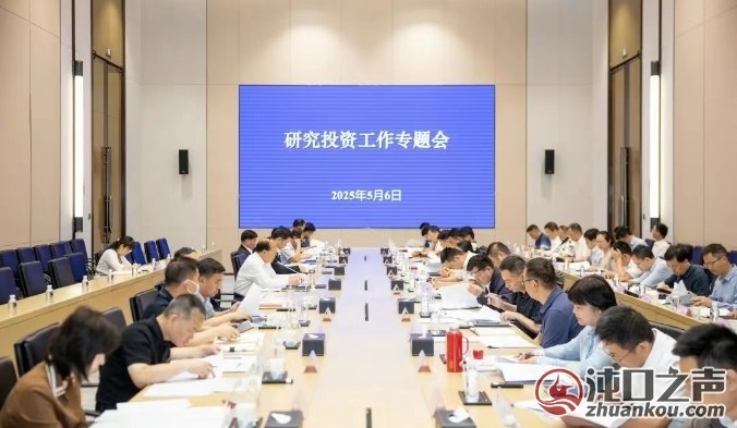 沌口|沌阳大道、神龙大道改扩建策划方案提升议程！