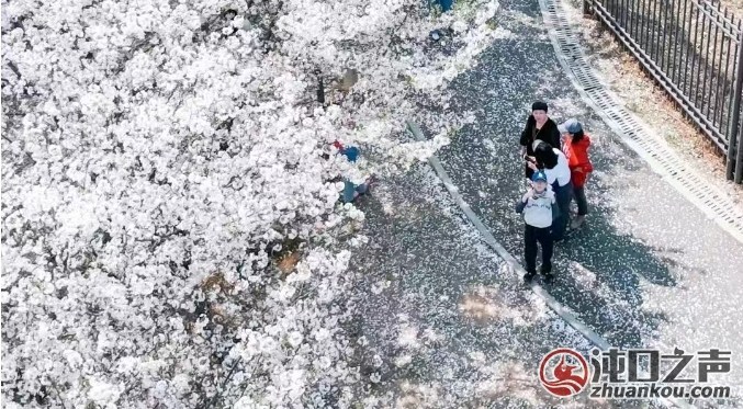 赏花踏青正当时 来车谷赴一场繁花盛宴