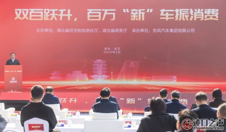2025年湖北省新能源汽车“双百跃升”活动在武汉经开区举行