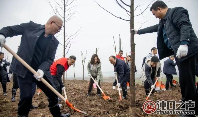 携手添新绿 武汉经开区开展义务植树活动