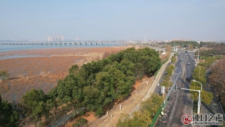 沌口碧湖路扩宽工程全面复工！