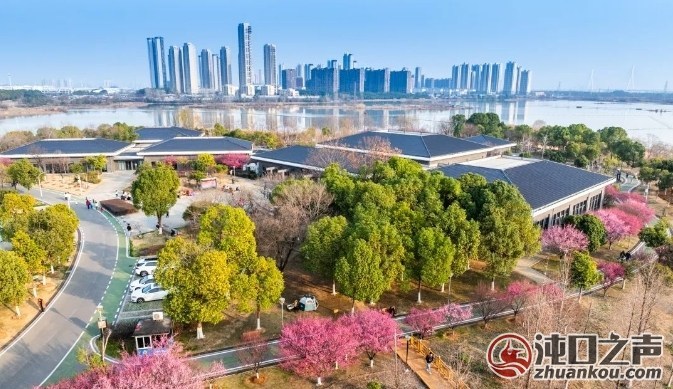 美不胜收！沌口汤湖公园太美了