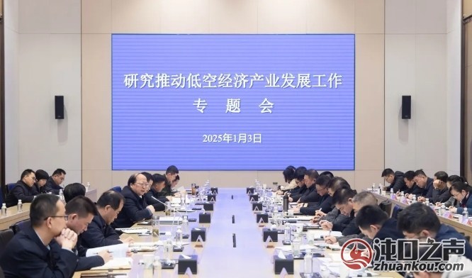 武汉经开区召开专题会 研究推动低空经济产业发展
