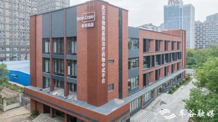武汉经开区生物医药创新园今年底建成投用