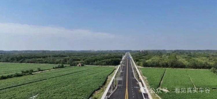 薇湖南路(机场路-滨江大道)项目顺利通过竣工验收