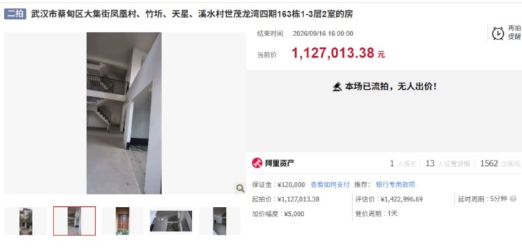 蔡甸世茂龙湾192平大别墅降价拍卖，依旧没人接盘