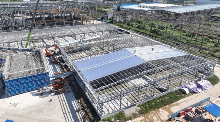 汉南湘口街道将建设华中地区规模最大的牛肝菌工厂化生产基地！