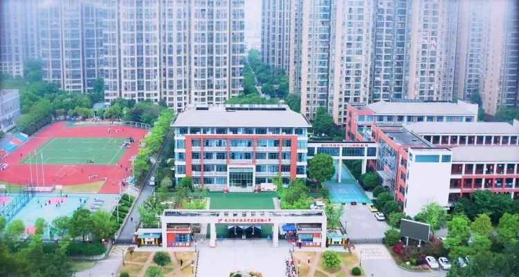 首批名单!武汉经开区实验小学太牛了!