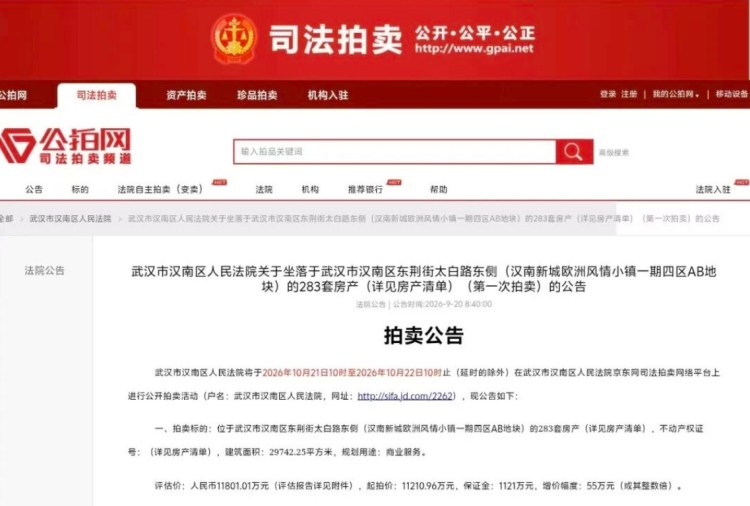 汉南"欧洲风情小镇"283套商业房产即将司法拍卖
