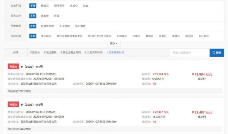 沌口核心商服延期拍卖...