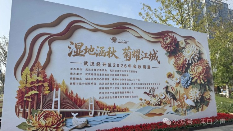 经开菊展就在沌口!武汉经开区2026年金秋菊展开始了